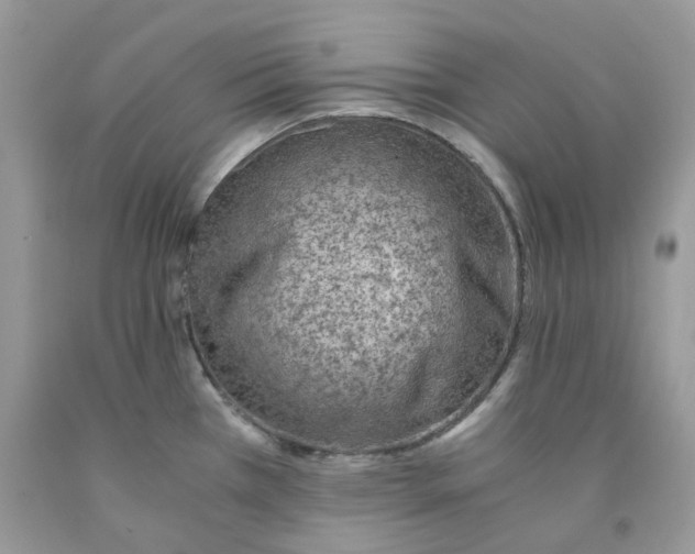 X0000091521385200709141406