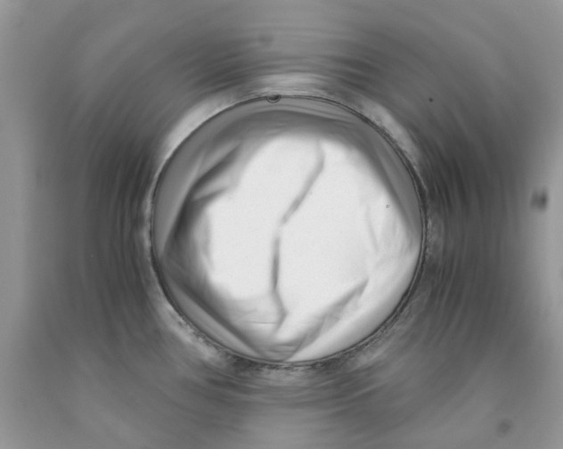 X0000091521386200709141406