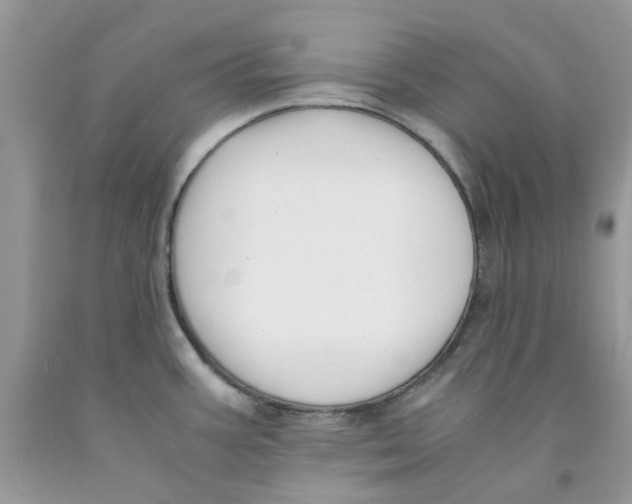 X0000091521387200709141406