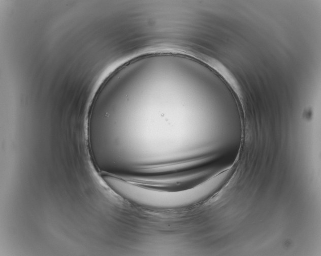 X0000091521388200709141406