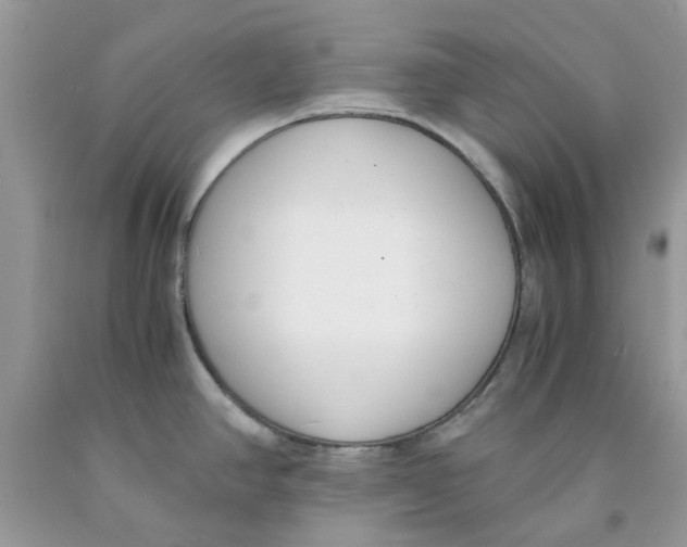 X0000091521390200709141406