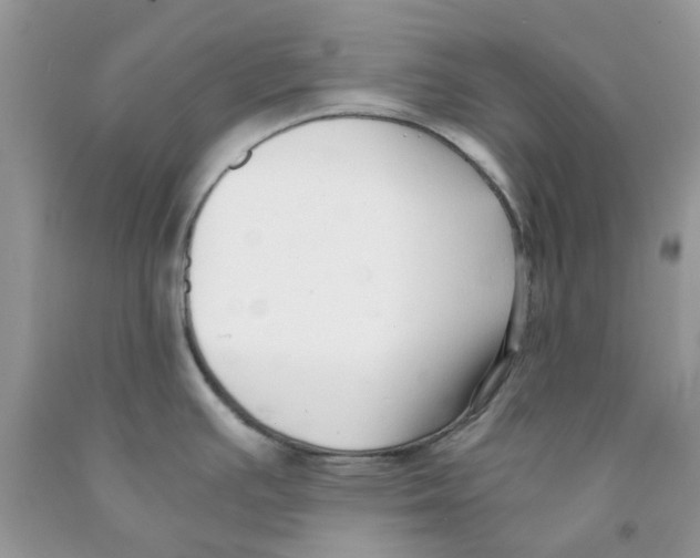 X0000091521391200709141406