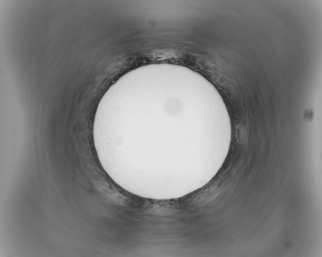 X0000091521393200709141405