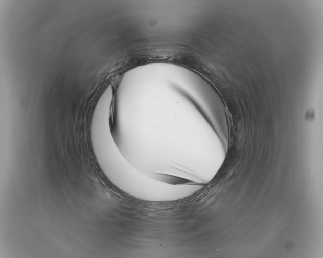 X0000091521394200709141405