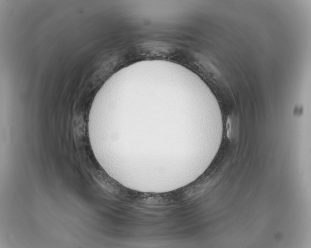 X0000091521395200709141405