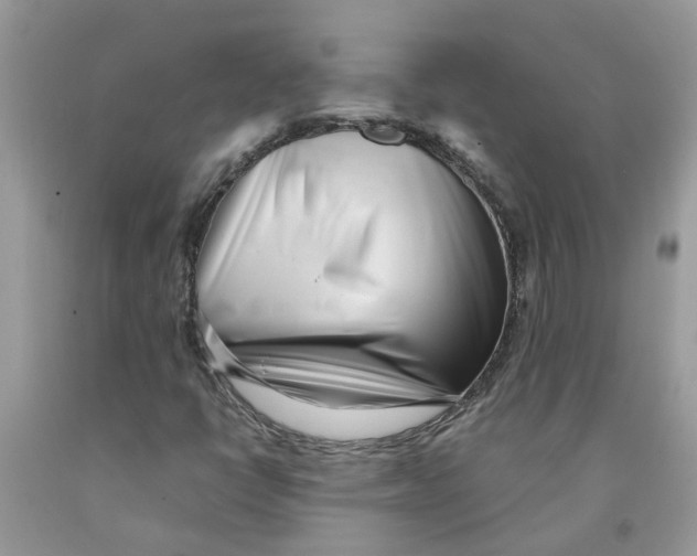 X0000091521398200709141405