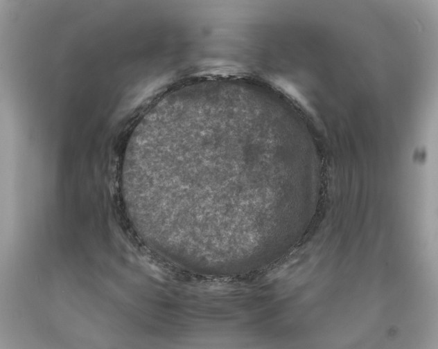 X0000091521399200709141405