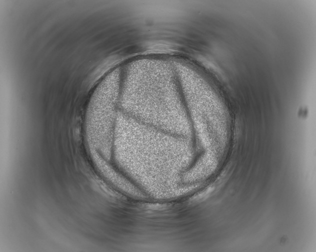 X0000091521401200709141405