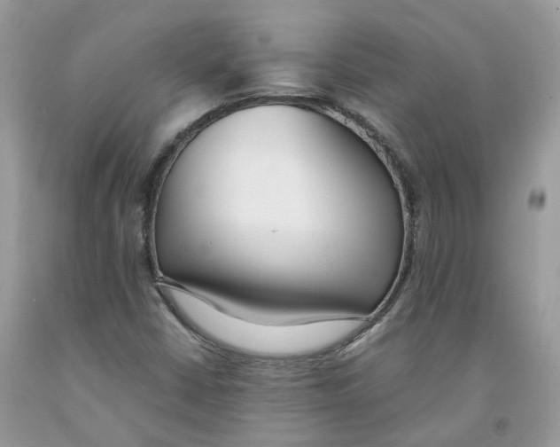 X0000091521402200709141405