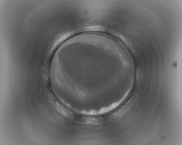 X0000091521405200709141405