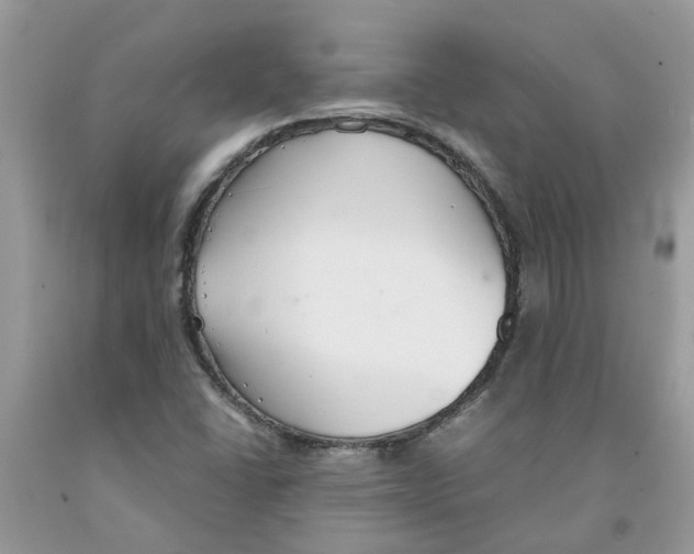 X0000091521406200709141405