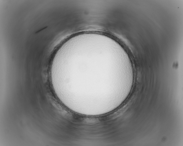 X0000091521407200709141405