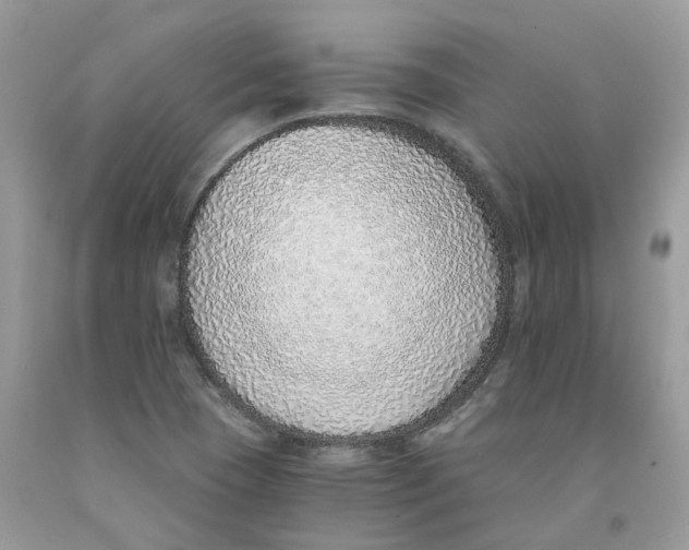 X0000091521409200709141405