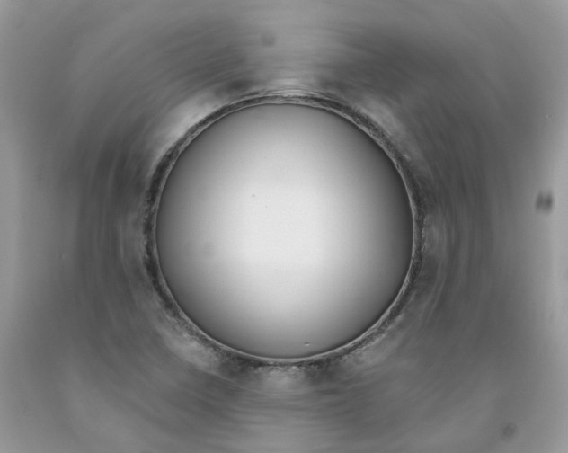 X0000091521410200709141405