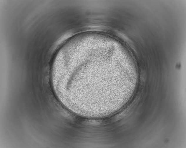 X0000091521411200709141405