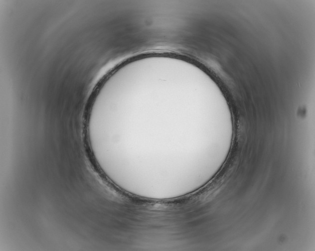 X0000091521412200709141406