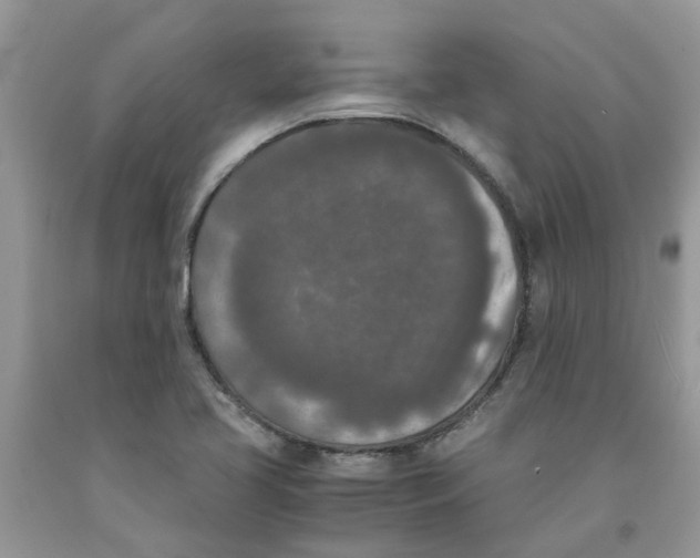 X0000091521413200709141406