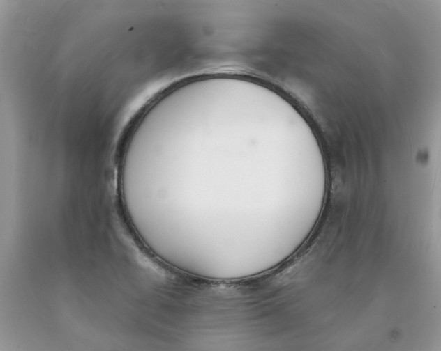 X0000091521414200709141406