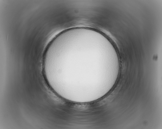 X0000091521415200709141406