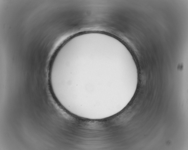 X0000091521416200709141406