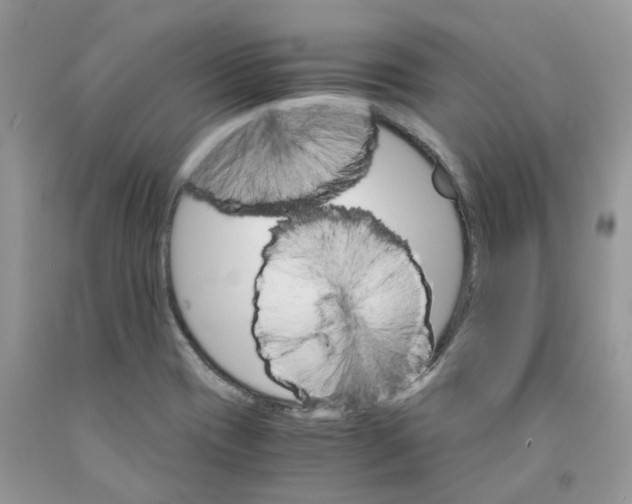 X0000091521417200709141406