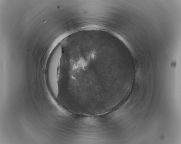 X0000091521418200709141406