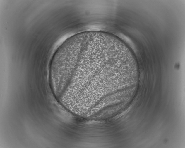 X0000091521419200709141406