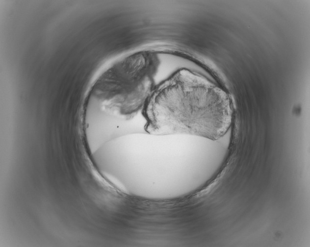 X0000091521421200709141406