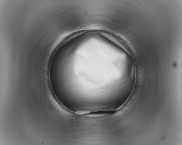 X0000091521422200709141406