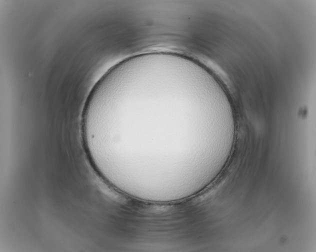 X0000091521423200709141406