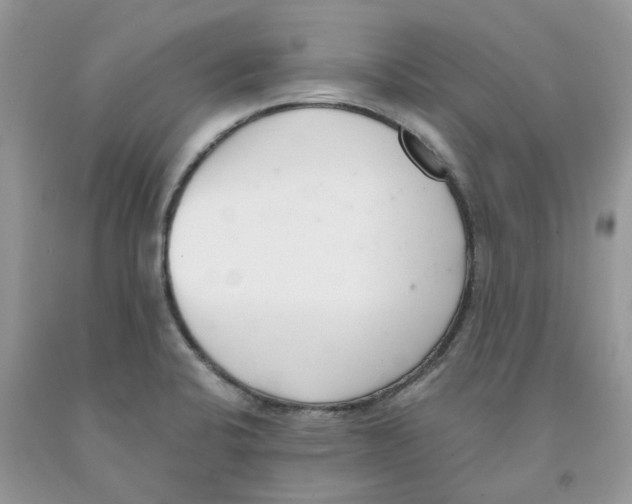 X0000091521424200709141406