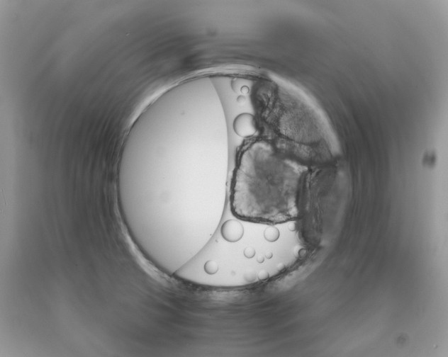 X0000091521425200709141406