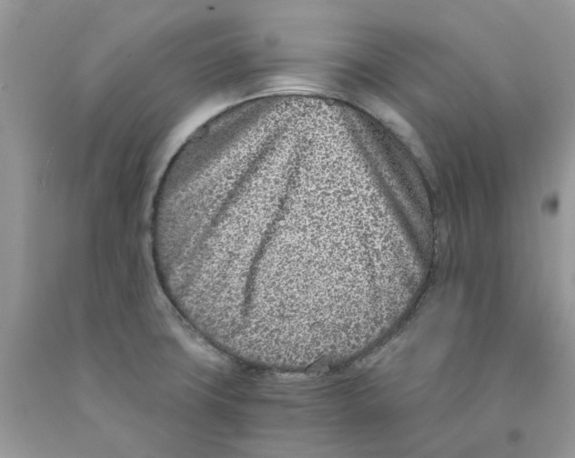 X0000091521427200709141406