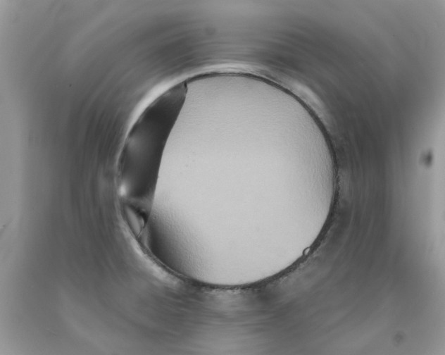 X0000091521428200709141406