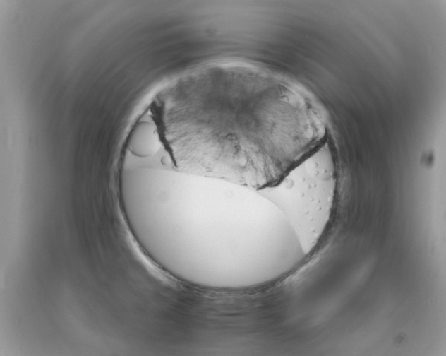 X0000091521429200709141406