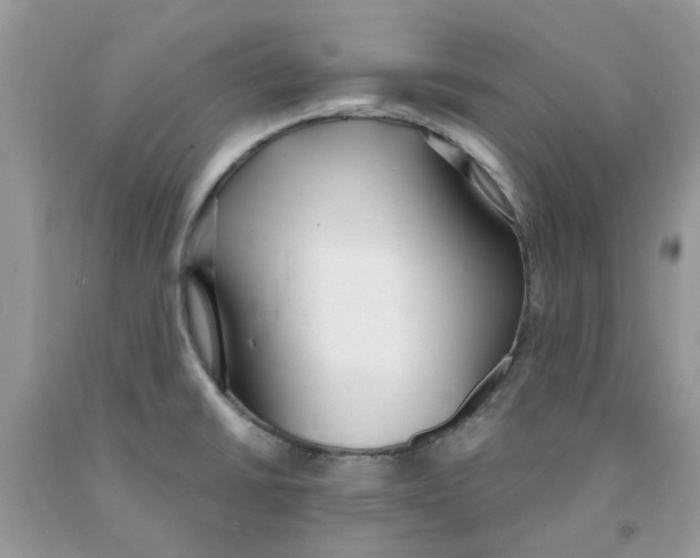 X0000091521430200709141406