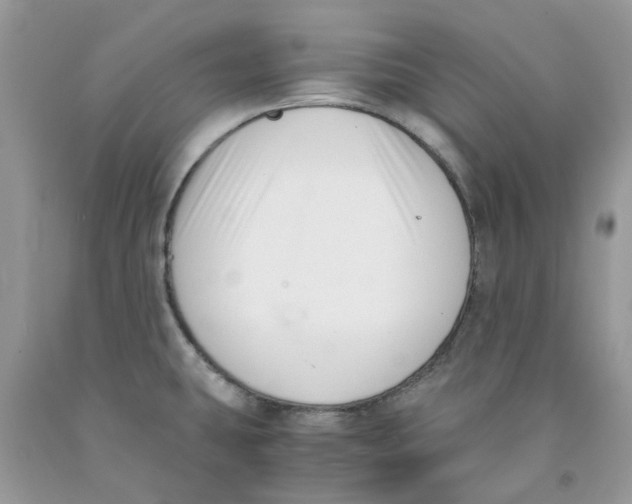 X0000091521431200709141406