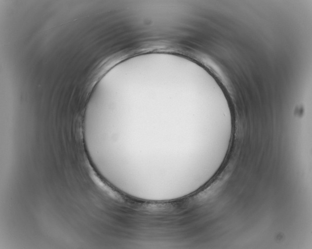 X0000091521433200709141406