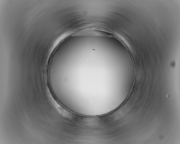 X0000091521434200709141406