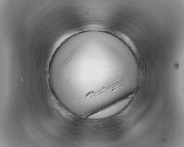 X0000091521435200709141406