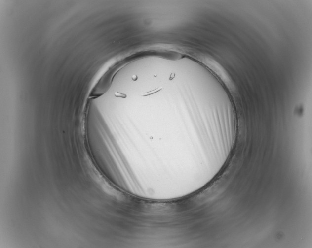 X0000091521436200709141406