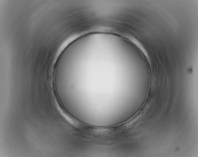 X0000091521437200709141406