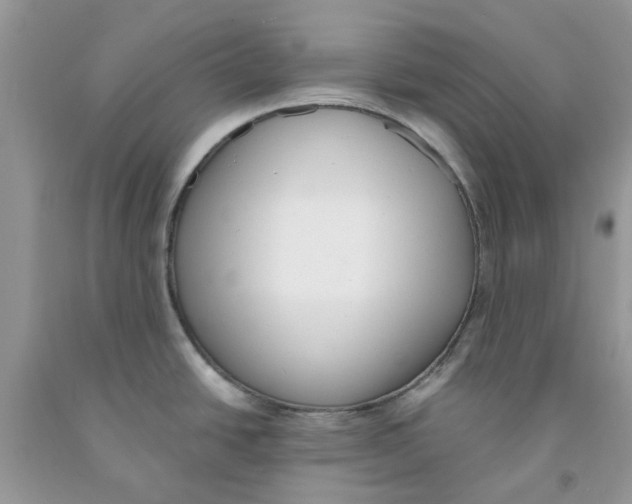 X0000091521438200709141406