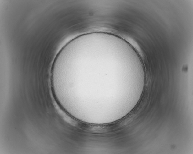 X0000091521439200709141406