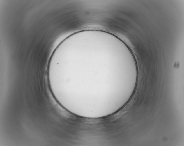 X0000091521440200709141406