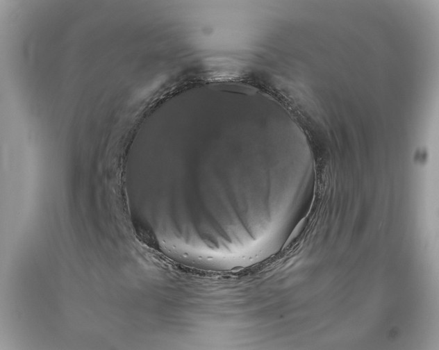 X0000091521441200709141405