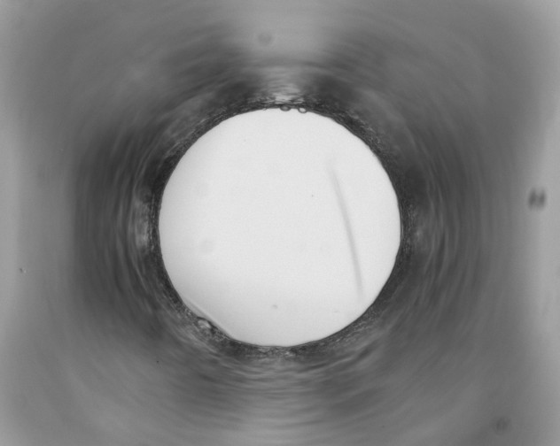 X0000091521442200709141405