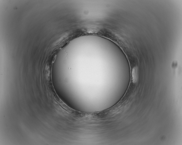 X0000091521443200709141405