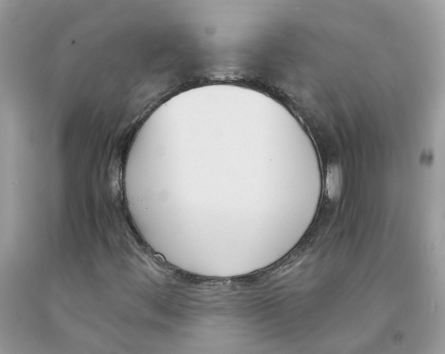 X0000091521444200709141405