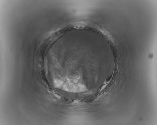 X0000091521445200709141405